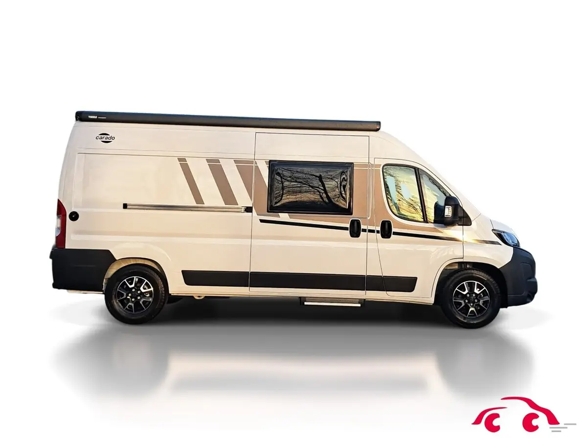 Carado CV 600 Markise, Optik Paket 2, Basic Paket